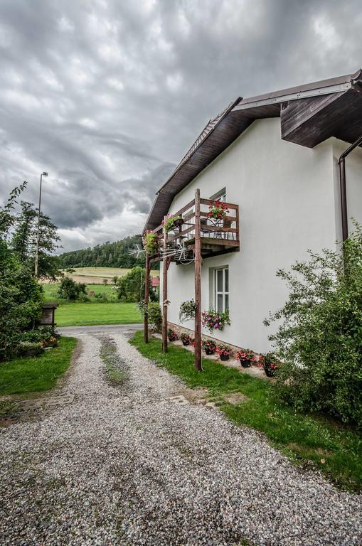 Romanówka Oldrzychowice Klodzkie Exterior foto